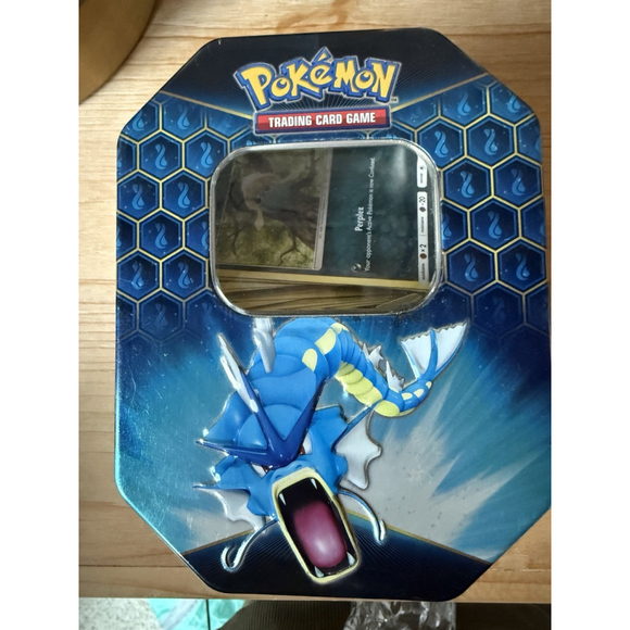Unbranded Other - POKEMON HIDDEN FATES GYARADOS TIN W CARDS COLLECTIBLE
